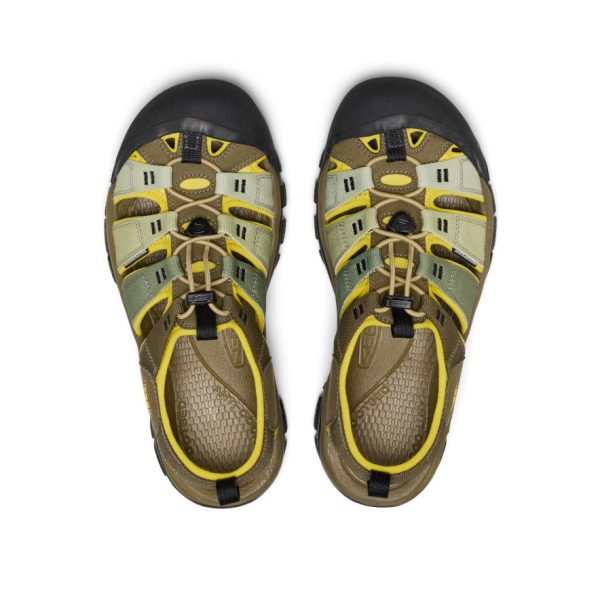 Men's Newport H2 Sandal  |  Gradient Dark Olive