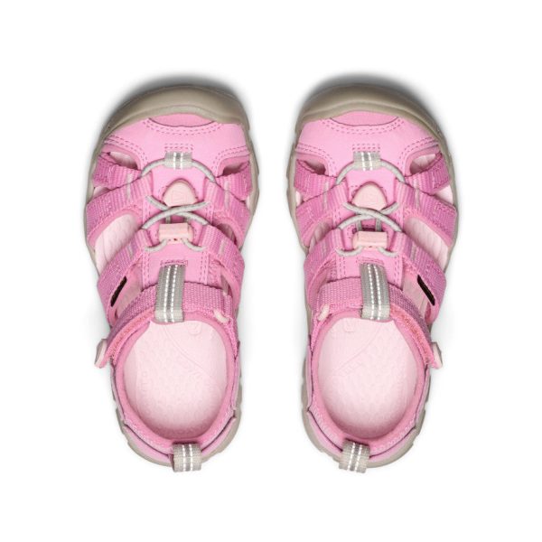 Little Kids' Seacamp II CNX  |  Moonlite Mauve/Giggle Pink
