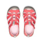 Little Kids' Seacamp II CNX  |  Dubarry/Giggle Pink