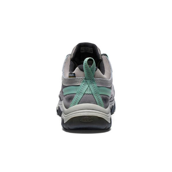 Women's Targhee IV Wide Waterproof Hiking Shoe  |  Alloy/Granite Green