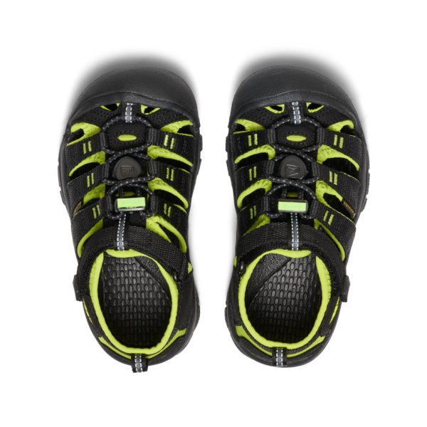 Little Kids' Newport H2  |  Black/Lime Green