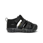 Toddlers' Seacamp II CNX  |  Black/Grey