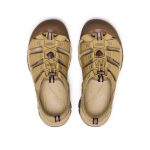 Men's Newport H2 Sandal  |  Mesa Glow