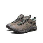 Women's Targhee IV Waterproof Hiking Shoe  |  Steel Grey/Lily Pad