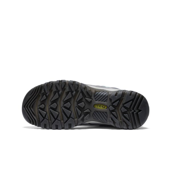 Women's Targhee IV Wide Waterproof Hiking Shoe  |  Alloy/Granite Green