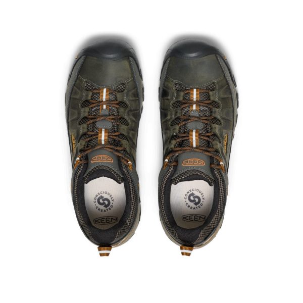 Men's Targhee III Waterproof  |  Black Olive/Golden Brown