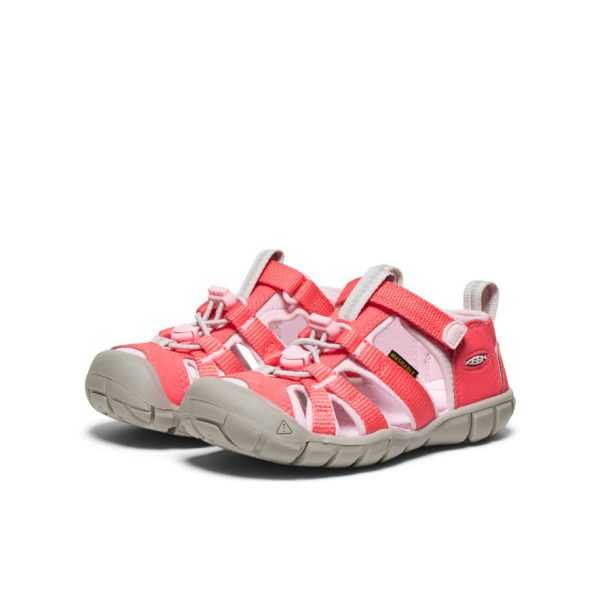 Little Kids' Seacamp II CNX  |  Dubarry/Giggle Pink