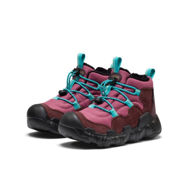 Little Kids' Hypowser Waterproof Chukka  |  Huckleberry/Violet Quartz
